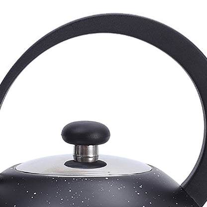 Whistling Kettle Stainless Steel Large Diameter Spout Moon Shape Handle Stovetop Teapot 2.5L Black