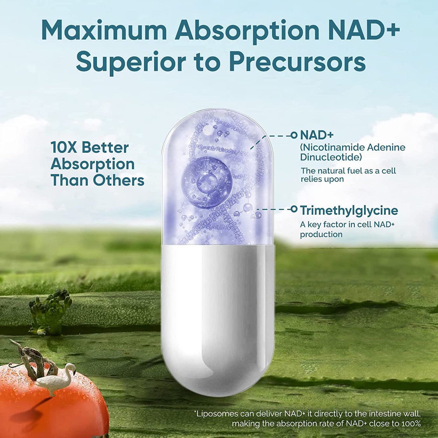 NAD Capsules