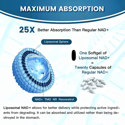 Abronikey NAD Cell Regenerator And Resveratrol Elite Nads Niacinamide Riboside Supplement With Trans Resveratrol, Quercetin, Energy,Focus 90 Capsule Dietary