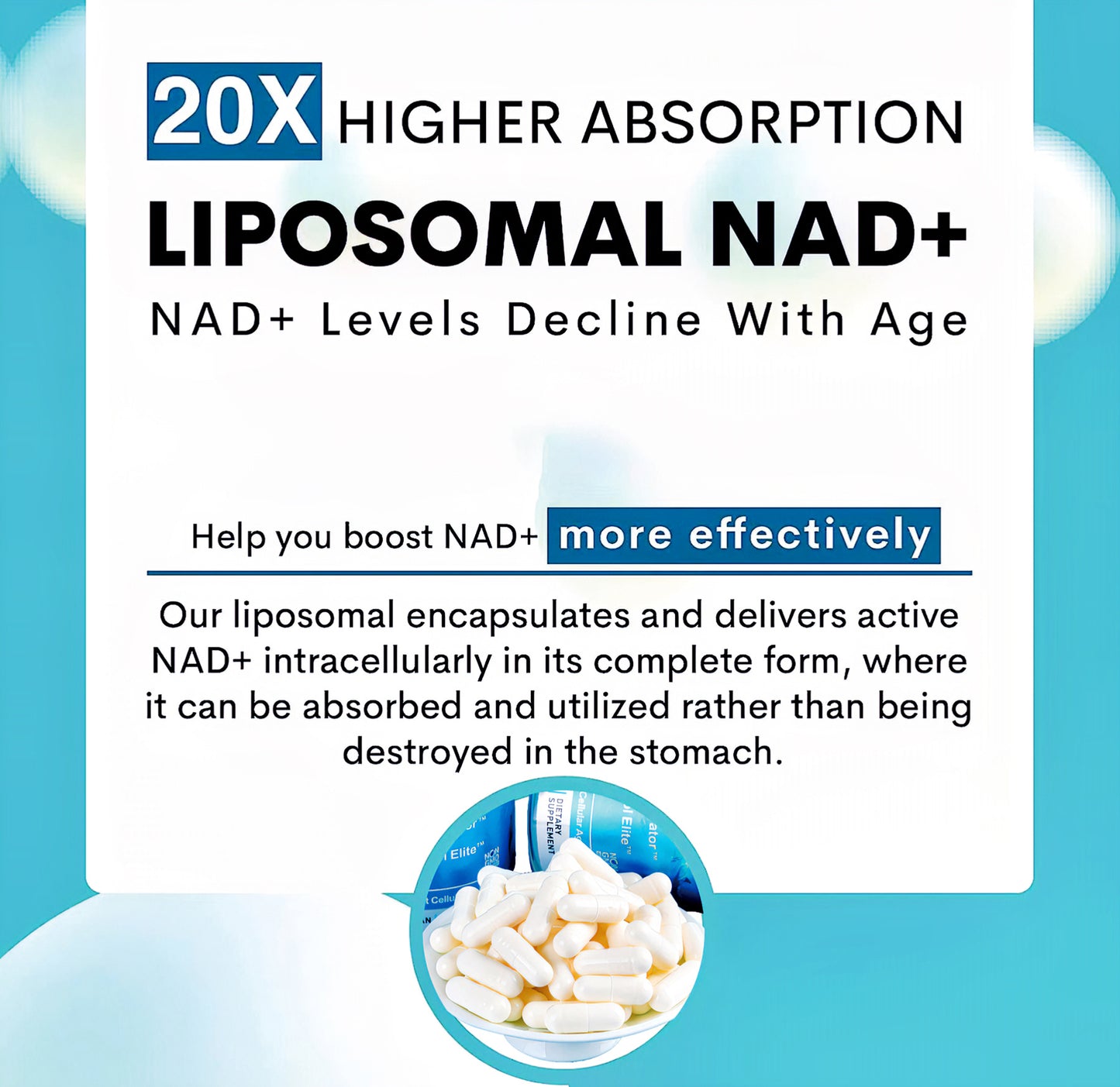 Abronikey NAD Cell Regenerator And Resveratrol Elite Nads Niacinamide Riboside Supplement With Trans Resveratrol, Quercetin, Energy,Focus 90 Capsule Dietary